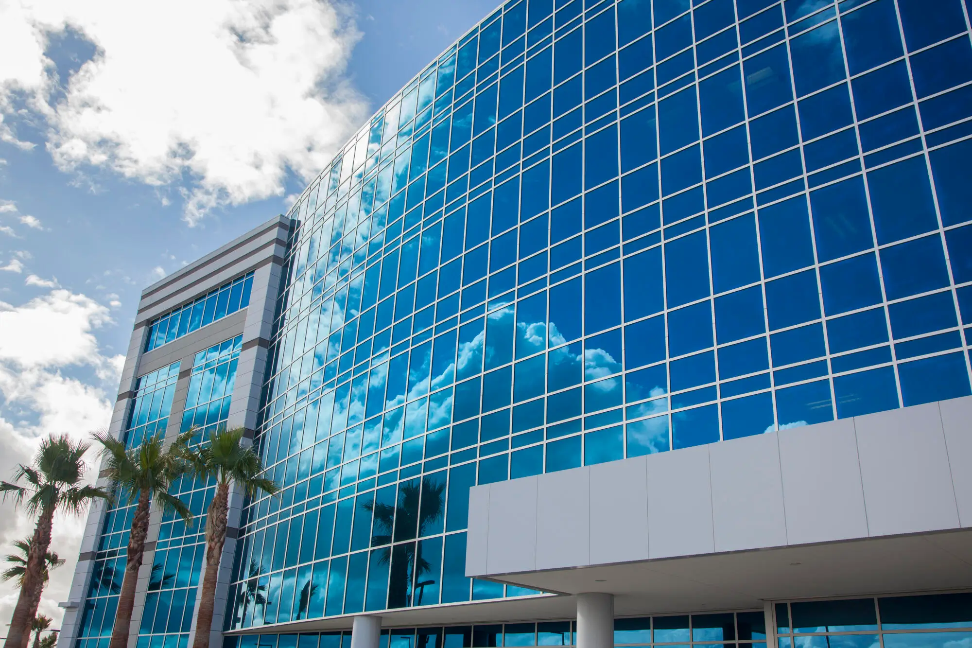 Your Essential Guide to Commercial Property Investments in Tampa, FL