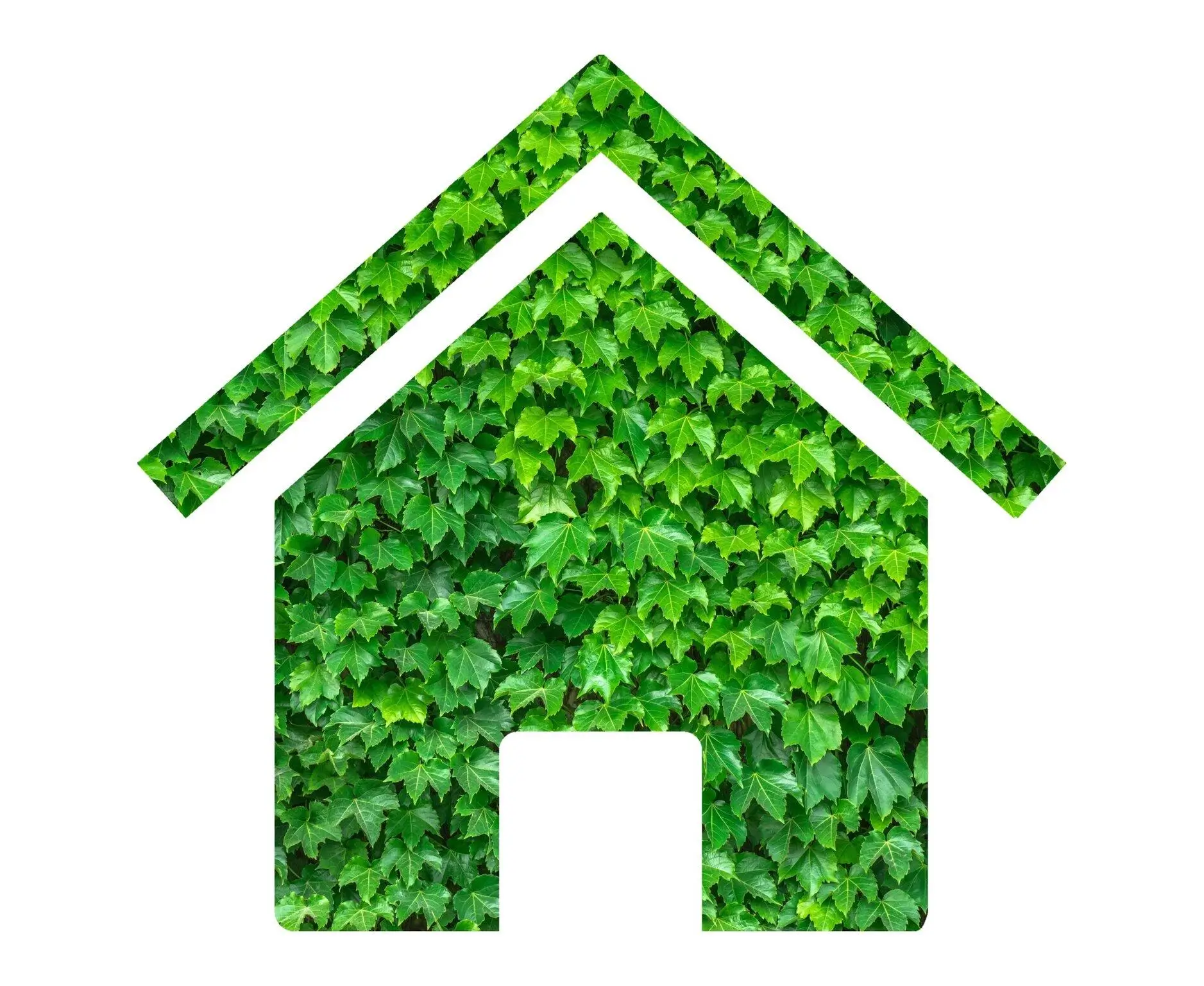 Sustainable Property Management in Tampa, FL: Eco-Friendly Strategies